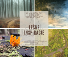 XI edycja Małopolskiego Konkursu Fotograficznego „Leśne Inspiracje”